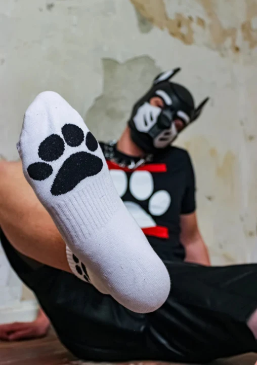 Sk8erboy® PUPPY Short Crew Socks Fetish White.png