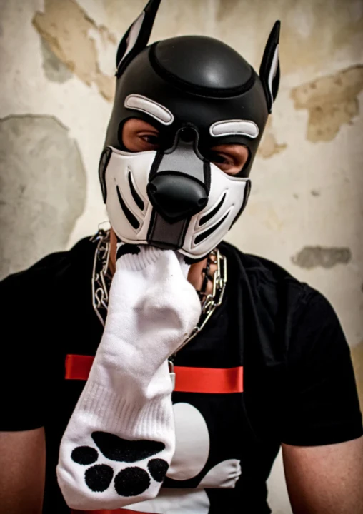 Sk8erboy® PUPPY Short Crew Socks Gay White.png