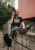 Sk8erboy® Lightweight Crew Socks Black    .png
