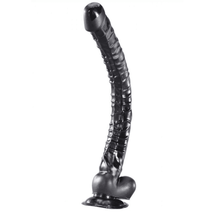 Dildo Horse with suction cup 34 x 3.5 cm