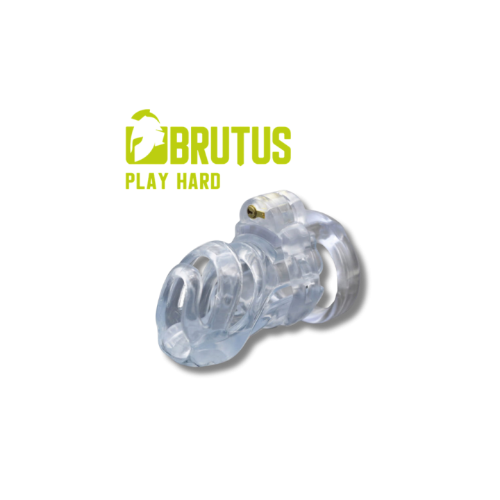 Projekt bez nazwy.png