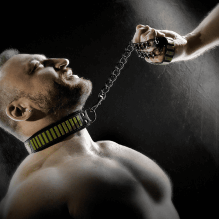 Fort Troff smycz + obroża Tactical Collar and Leash - Black/Green