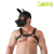 BRUTUS Vegan Pup Hood Black-Black