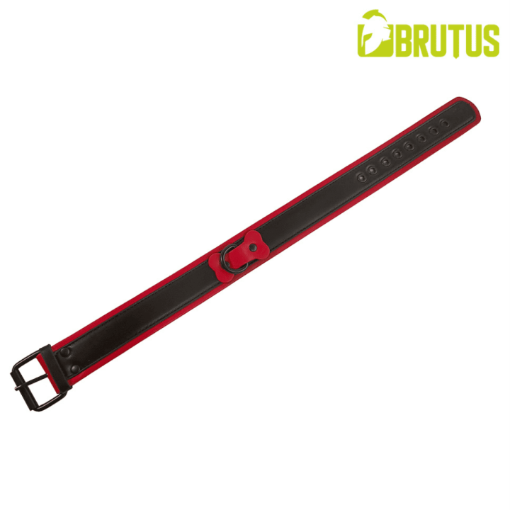 BRUTUS Vegan Puppy Collar Black-Red