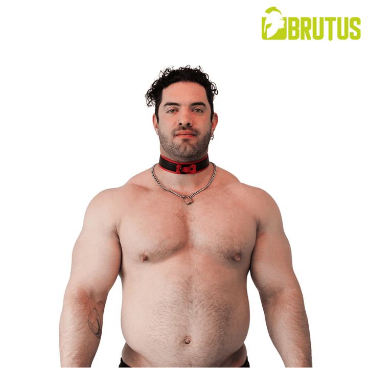 BRUTUS Vegan Puppy Collar Black-Red