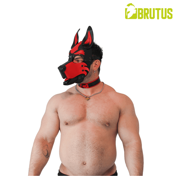 BRUTUS Vegan Puppy Collar Black-Red