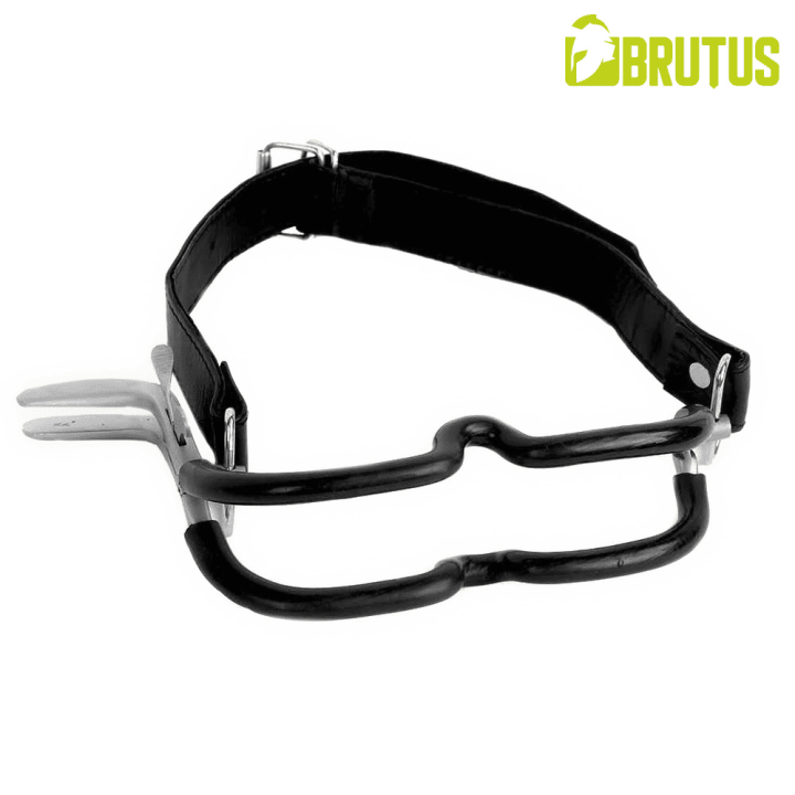 BRUTUS Leather Strap-On Jennings Clamps