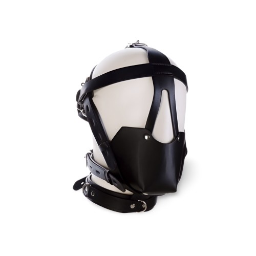 Black Sm Harness Head Muzzle
