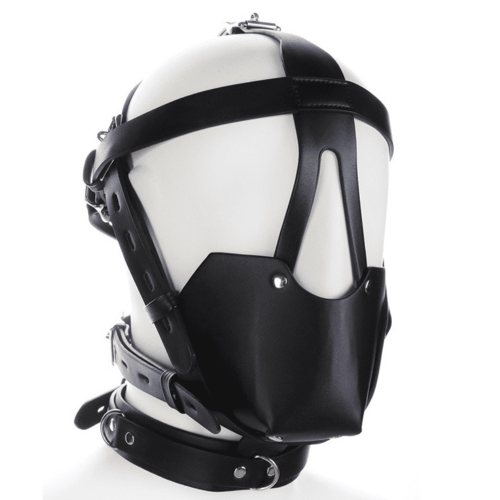 Black Sm Harness Head Muzzle