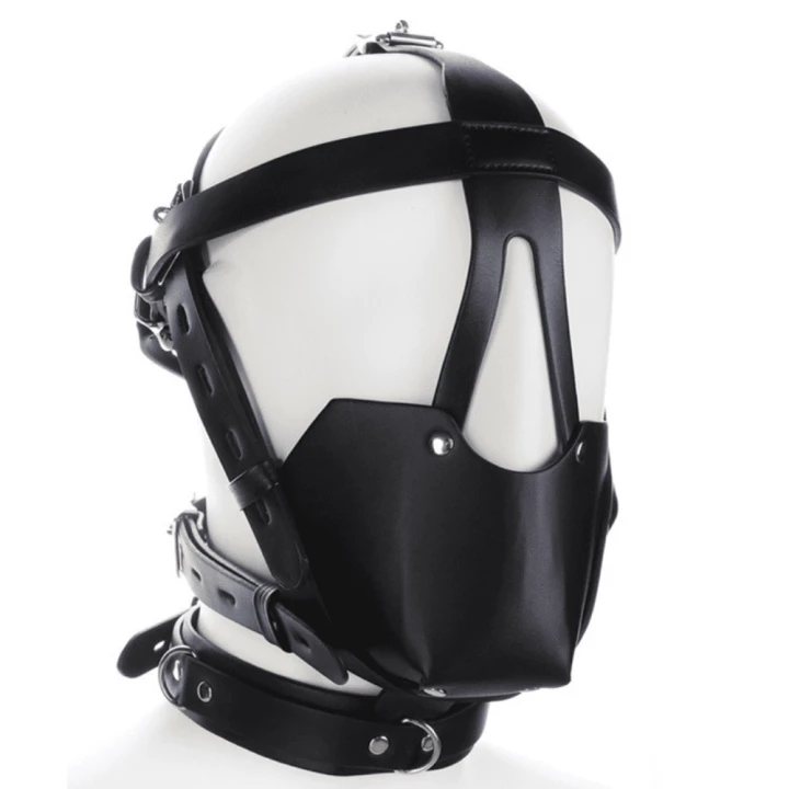 Black Sm Harness Head Muzzle