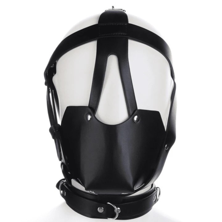 Black Sm Harness Head Muzzle