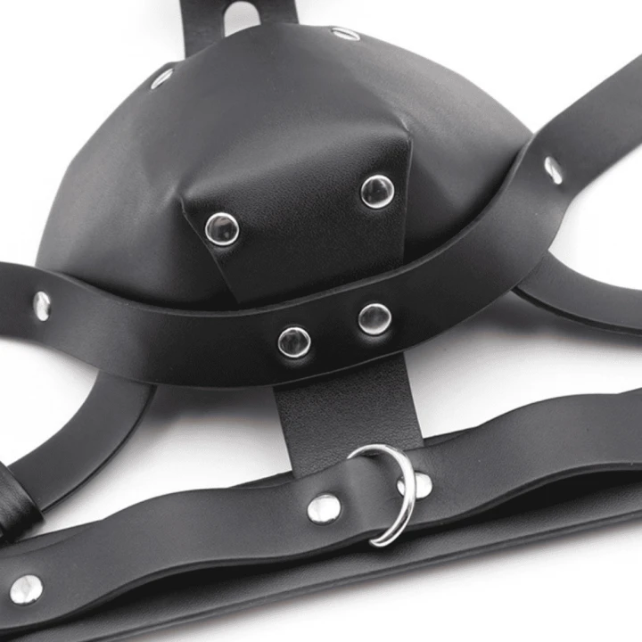 Black Sm Harness Head Muzzle