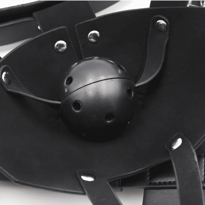 Black Sm Harness Head Muzzle
