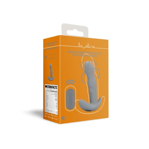 Rotating Prostate Stimulator with Remote Control - Gotham Grey.png