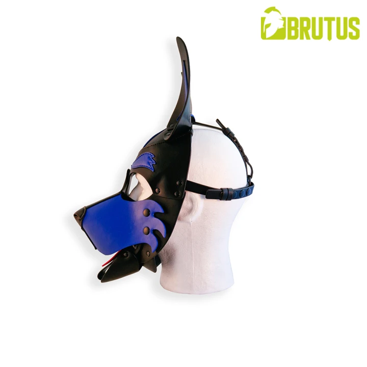 BRUTUS Vegan Pup Hood Black-Blue