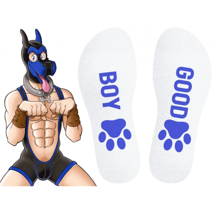 5.png