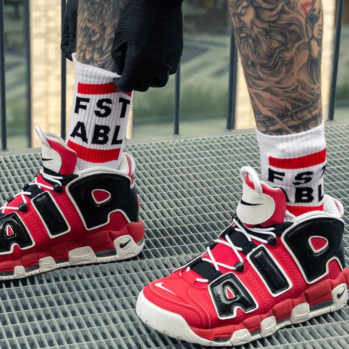 Sk8erboy® FST ABL Socks White.png
